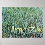 Amaze Poster