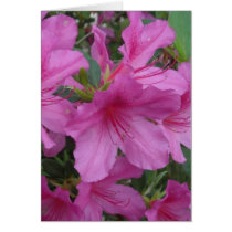 Amazing Azaleas Card