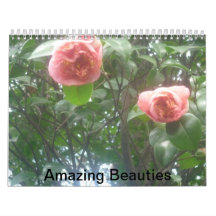 Amazing Beauties Wall Calendar
