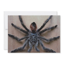 Amazing black tarantula spider personalized invitation