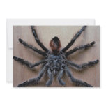 Amazing black tarantula spider personalized invitation