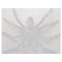 Amazing black tarantula spider customized letterhead