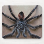 Amazing black tarantula spider mouse pad