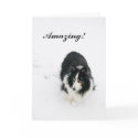 Amazing! cards by bluerabbit Amazing! cards