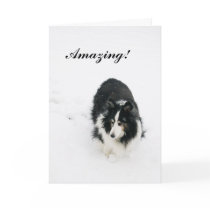 Amazing! cards