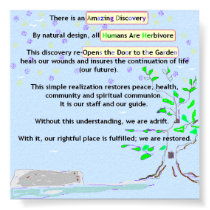 Amazing Discovery Poster posters by allinharmony Amazing Discovery Poster posters