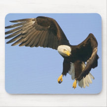 Amazing Eagle Mousepads