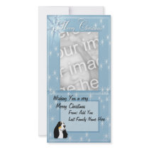 Amazing English Cocker Spaniel Personalized Photo Card