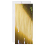 Amazing Grace: Enjoy and share the joy. rack cards