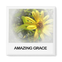 Amazing Grace Magnet magnets