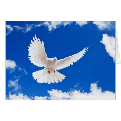 Amazing Grace with Dove of