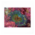 Amazing Green Anemone posters