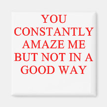 amazing insult fridge magnet