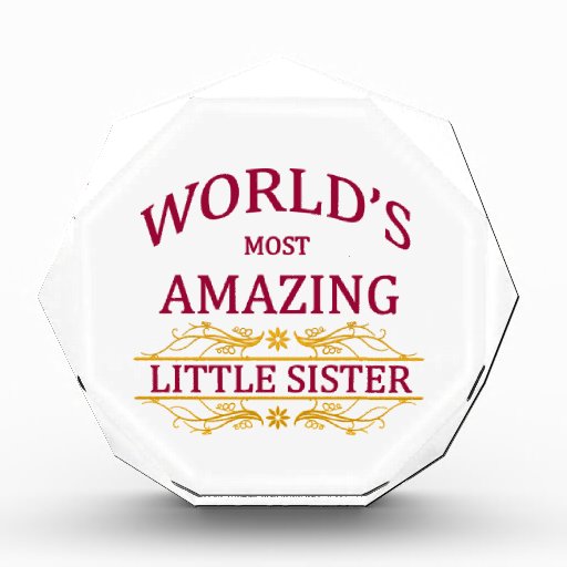 Amazing Little Sister Award Zazzle