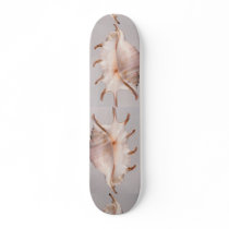 Amazing spider conch skate board deck