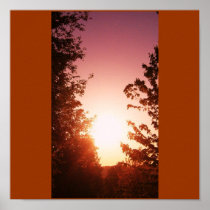 Amazing View Poster