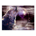 Amazing Wolf Song Postcard