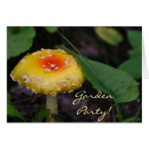 Amazing Yellow Mushroom cards