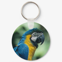 Amazon animal keychaine by AliancadaTerra Amazon animal keychaine