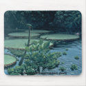 Amazon Backwater. mousepads by carpenterjim Amazon Backwater. mousepads