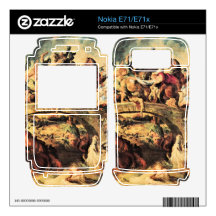 Amazon Battle by Paul Rubens Skins For Nokia E71