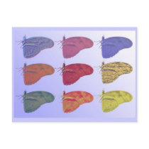 Amazon Butterfly Postcard