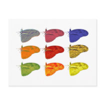 Amazon Colored Butterfly Postcard by MMednikow Amazon Colored Butterfly Postcard