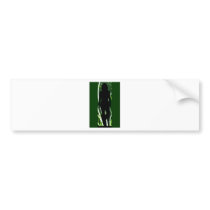 AMAZON DREAM BUMPER STICKER