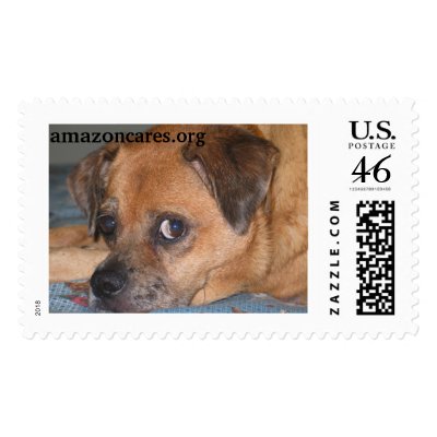 Amazon Humane Society Custom Postage Stamp by MMednikow