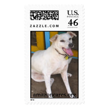 Amazon Humane Society Custom Postage Stamp