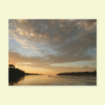 Amazon Humane Society Postcard: Beautiful Amazon S