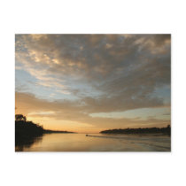 Amazon Humane Society Postcard: Beautiful Amazon S by MMednikow Amazon Humane Society Postcard: Beautiful Amazon S