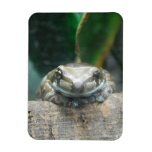 Amazon Milk Frog Flexible Magnet