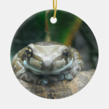 Amazon Milk Frog  Ornament