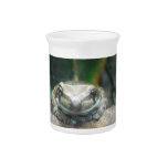 Amazon Milk Frog Pitcher