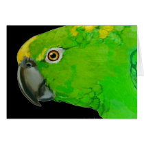 Amazon Parrot Card