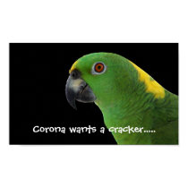 Amazon Parrot poster posters by Southern_Charm Amazon Parrot poster posters