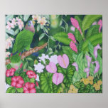 Amazon Parrot posters