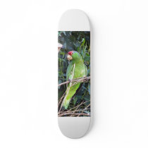 Amazon Parrot Skateboard