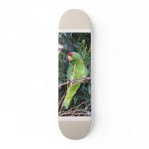 Amazon Parrot Skateboard