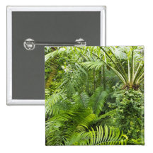 Amazon Rainforest, Amazonia, Brazil 2 Pinback Button