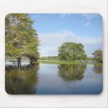 AMAZON RAINFOREST. mousepads