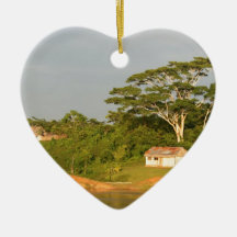 Amazon river bank ornament