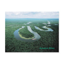 Amazon River Postcard