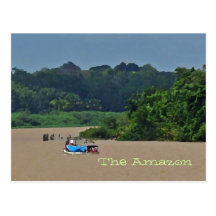Amazon River Scene  Postcard