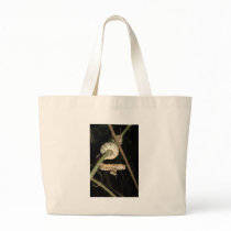 Amazon Tree Boa - Corallus hortulanus bags