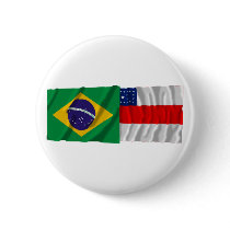 Amazonas & Brazil Waving Flags Pins