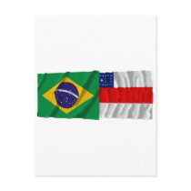 Amazonas & Brazil Waving Flags Postcard