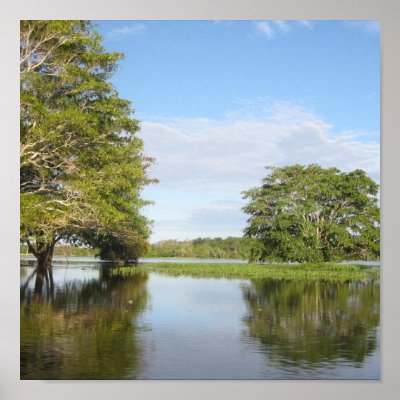 AMAZONIA RAINFOREST PRINT by lucsette
