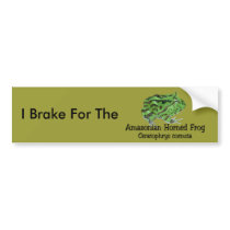 Amazonian Horned Frog Bumper Sticker bumper stickers